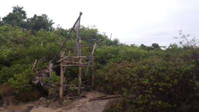 Pemandangan Sekitar Lokasi